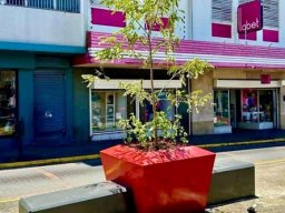 Municipalidades &raquo; Alajuela